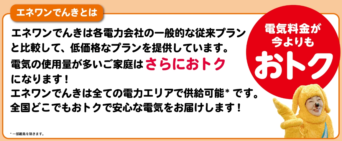 電気料金がおトクになるエネワンでんき